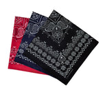 12 Pcs Cowboy Bandanas for Men Women Paisley Pattern Handkerchiefs 22 x 22 Inch Headwrap Scarfs
