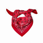 12 Pack Novelty Multipurpose Bandana Cotton Paisley Bandanas for Men Women