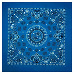 12 Pack Novelty Multipurpose Bandana Cotton Paisley Bandanas for Men Women