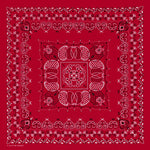 12 Pcs Cowboy Bandanas for Men Women Paisley Pattern Handkerchiefs 22 x 22 Inch Headwrap Scarfs