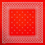12 Pcs Cowboy Bandanas for Men Women Paisley Pattern Handkerchiefs 22 x 22 Inch Headwrap Scarfs