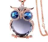 Sweater Chain Vintage Owl Crystal Long Necklace Clothing Accessories