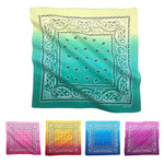 12 Pack Cotton Paisley Pattern Bandanas Face Mask Square Scarf Headwear