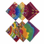 12 Pack Unisex Novelty Multi-Purpose Cotton Paisley Cowboy Bandanas Headband for Men Women Pet