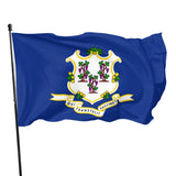 Fly Breeze 3 X 5 Ft Flag Connecticut Flag Polyester Vivid Color for Party