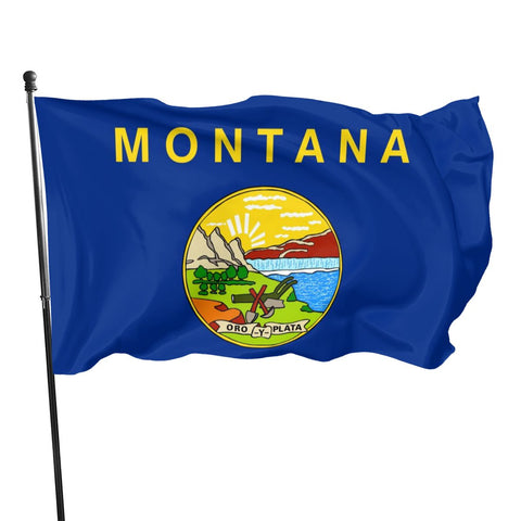 Fly Breeze 3 X 5 Ft Flag Montana Flag Polyester UV Fade Resistant for Home